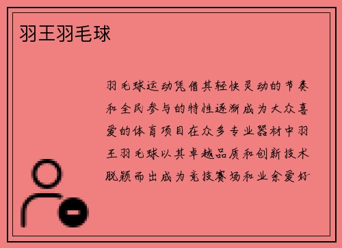 羽王羽毛球
